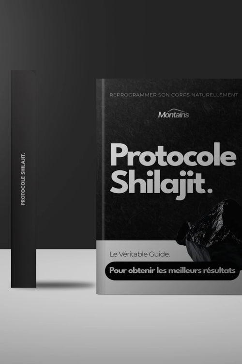 Protocole Shilajit (E-book)
