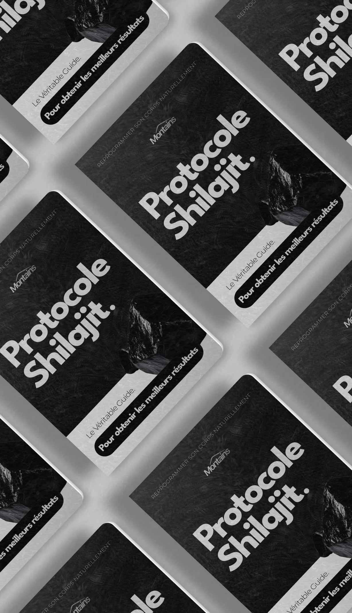 Protocole Shilajit (E-book)
